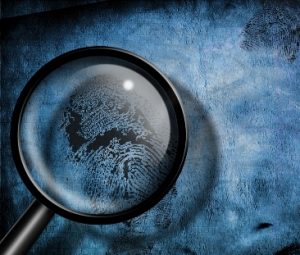 Finger-print-investigation-4