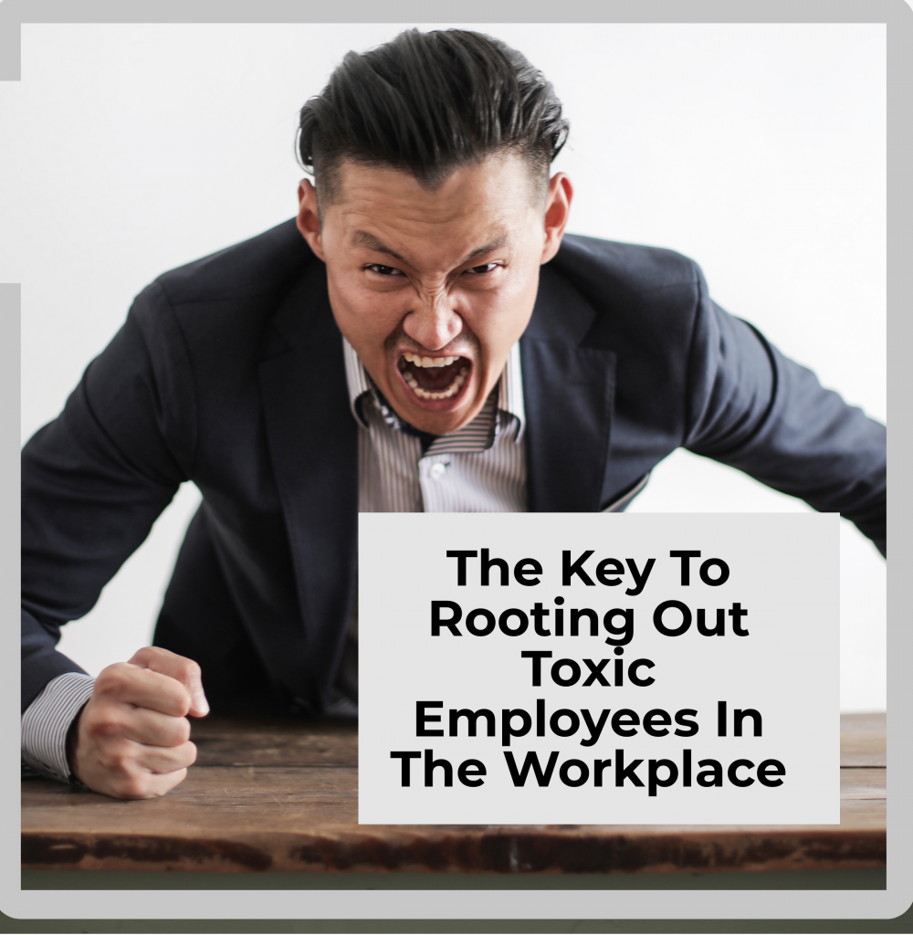 Lauth Investigations International | The Key To Rooting Out Toxic Employees In The Workplace