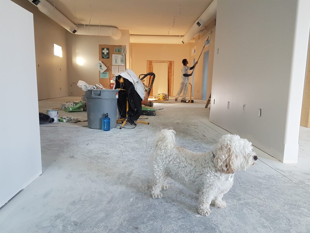 Lauth Investigations International | Renovating? Here’s Why You Should Hire a Private Investigator to Check Out the Candidates Lauth Investigations International | Renovating? Here’s Why You Should Hire a Private Investigator to Check Out the Candidates